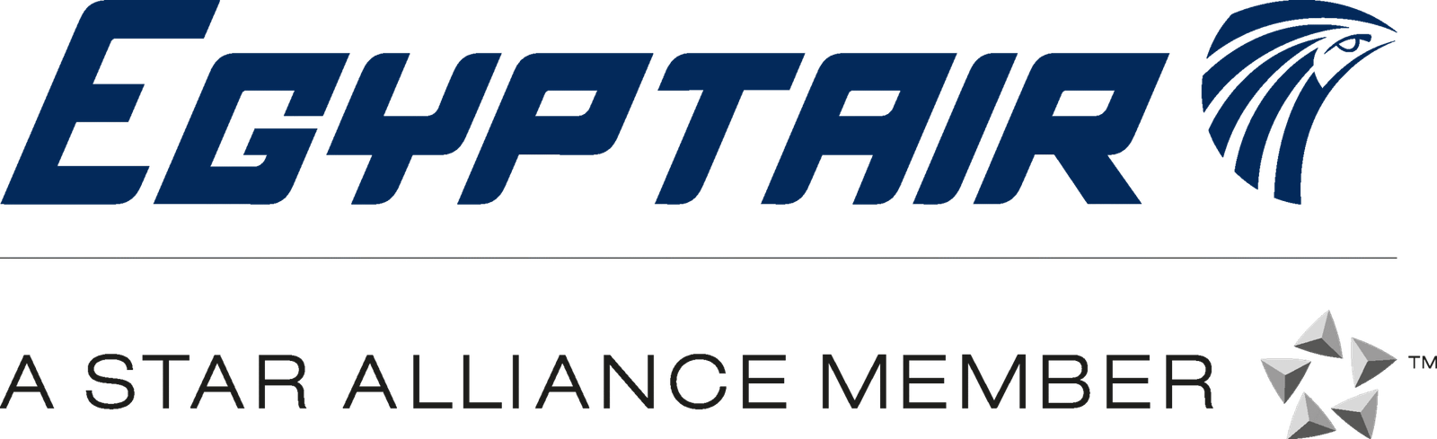 PikPng.com_pluralsight-logo-png_4871413